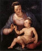 CORNELIS VAN HAARLEM Madonna and Child  vinxg oil painting on canvas